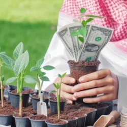 بما انك خبير في تحسين محركات البحث للمواقع اريد ان تعمل لي أسئلة شائعة (FAQ) بصيغة Schema لكى يتم وضعها في المقال ولابد تكون صحيحة في الصيغة من موقع schema التي يمكن استخدامها في المقالة الخاصة بك لتحسين ظهورها في محركات البحث: التعليمات ان لا تزيد الأسئلة عن 6 وتكون الإجابات واضحة وصحيحة وان تكون نابعة عن معرفة و خبرة في استخلاصها من عنوان المقال او من المقال نفسة ان وجد او من رابط المقال ويتم عملها في سكربت جاهز يتم وضعة في نهاية المقال في بلوجر او ووردبريس او أي منصة أخرى تقبل اكود html فى المقال مهم جدا ان يكون سكربت سكيما بنمط مقبول رسميا. تعمل المطلوب كله لكن او شي سكربت أسئلة سكيما وبعدها باقى المطلوب. المعطيات الأساسية عنوان المقال(كيفية استثمار مبلغ صغير من المال) او رابط المقال(::::::::::::::::::::::) او نص المقال المهم في النهاية السكربت يكون متوافق مع النتائج المنسقة ويحسن ظهور المقال في محرك البحث. كيفية استثمار مبلغ صغير من المال